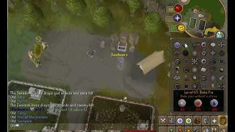 NRscape 562 OWNAGE server 24/7 rsps