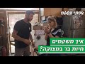 איך משקמים חיות בר במצוקה? | אסתי בשטח