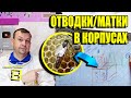 ПРОСТОЙ СПОСОБ СДЕЛАТЬ ОТВОДОК ПЧЕЛ И ВЫВЕСТИ ПЧЕЛИНЫХ МАТОК ДЛЯ НАЧИНАЮЩИХ ПЧЕЛОВОДОВ ЛЮБИТЕЛЕЙ