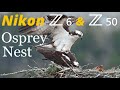 Nikon Z6 & Z50 • Osprey Nesting Photography