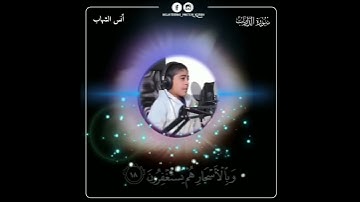 القارئ الصغير أنس الشهاب