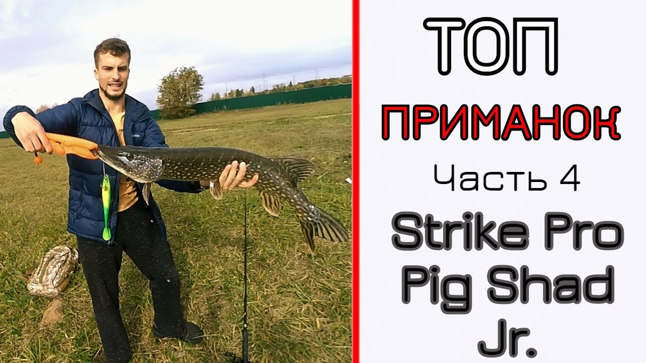 Мои лучшие приманки. Часть 4. Strike Pro Pig Shad Jr. Конфета для щуки!