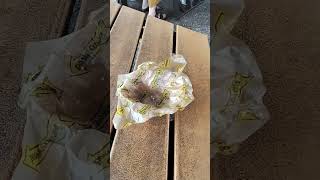 Potato Patch Review Kennywood