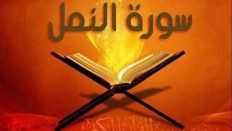 القاريء أسامه فخري وماتيسر من سورة النمل