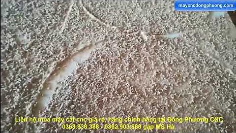 Máy cnc cắt quảng cáo Đông Phương Hà Nội