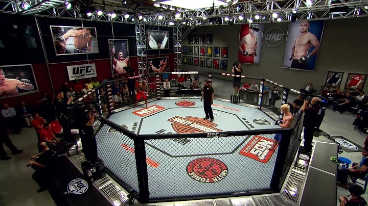 TUF 19: Elimination Fight  Matt Gabel vs. Eddie Go...