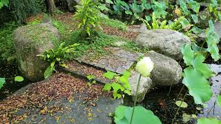 20250727南投名間白毫禪寺