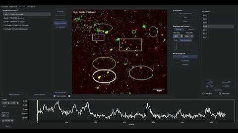 Phasor Handler v2.3 Tutorial