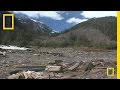 Great Bear Rainforest Conservation Issues