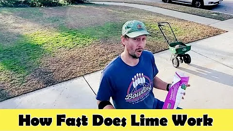 How Fast Does Garden Lime Work In A Lawn