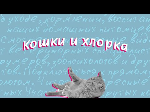 Кошки и хлорка