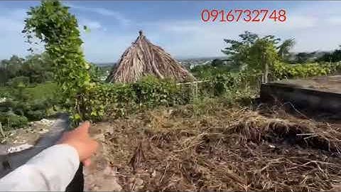 CHỦ CẦN TIỀN BNA GẤP LÔ ĐẤT 1000m2 view ÔM TRỌN TP BÀ RỊA GIÁ NGỘP 1ty7