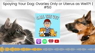 Spaying Your Dog: Ovaries Only or Uterus as Well?! | #50