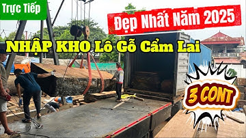 Nhập kho Lô Gỗ Cẩm Lai Đẹp Nhất Năm 2025