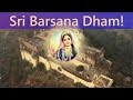 Joy of Krishna Consciousness 015 - Sri Barsana Dham! Bhajan by Tarana Chaitanya Das