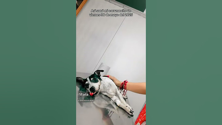 Un mes de tu partida MAILA🙁 #perros #toxica #mascotas #fyppppppppppppppppppppppp