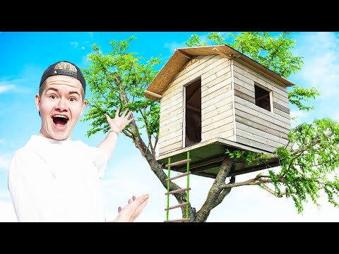 Video: Is een dennenboom goed voor een boomhut?