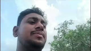 নৌকায় করে ভয়ংকর সুন্দরবনে, কতটা ভয়ংকর হতে পারে নিচ চোখে দেখুন#viralvideo #sundarban #amazing