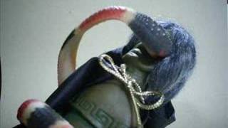 Snake Attack Part 2