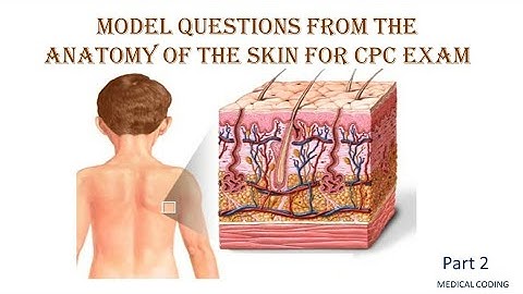 model questions for cpc exam from integumentary system.