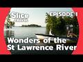 Canada the 1000 islands of the saint lawrence  slice travel  episode 1