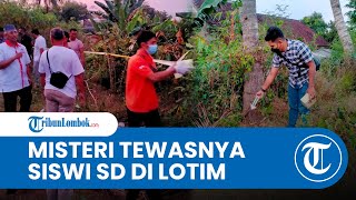 Siswi Sd Tewas Mengenaskan Di Lombok Timur Perhiasan Hilang Hingga Luka Di Hidung