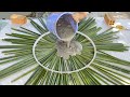 Cement and leaves ideas - Make your own coffee table close to nature at home