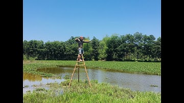 Bắn cá bằng ná thun cực chính xác_Shoot fish with extremely accurate slingshot