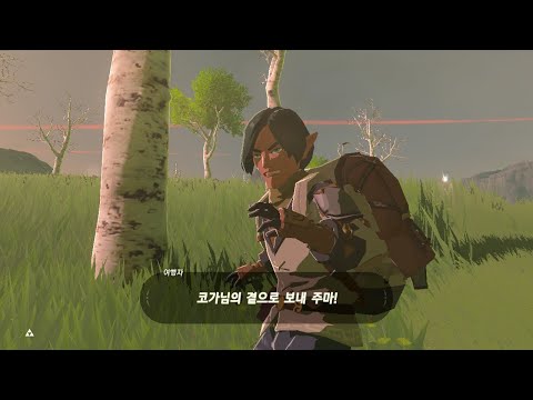 How Zelda BOTW kills the Yiga(fifth)