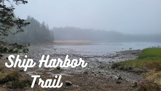 🥾 Ship Harbor Trail | Acadia National Park