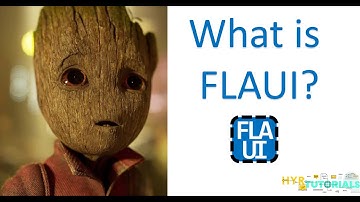P3 - What is FlaUI? Libraries provided by FlaUI?  | FlaUI |