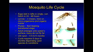 Mosquito Biology, Surveillance, and Control with Elmer Gray by The Center for Urban Agriculture 8,372 views 5 years ago 1 hour, 6 minutes