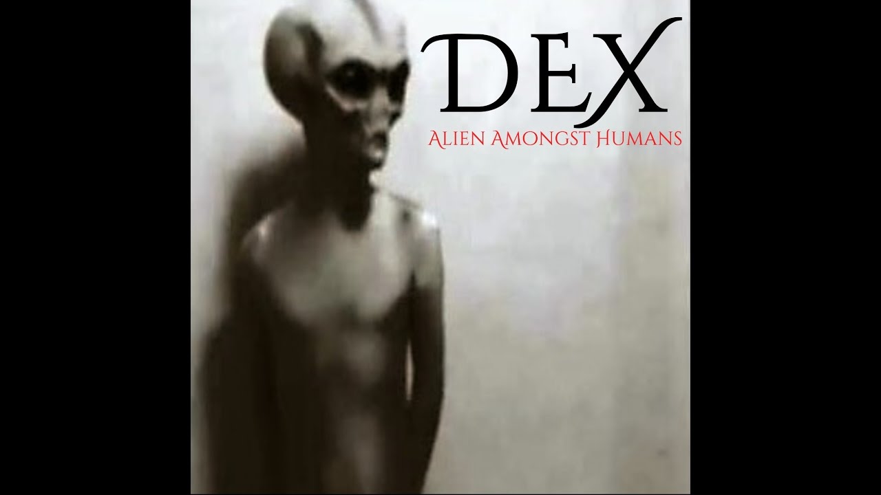 Guarda DEX- Basement (lyric video) su YouTube Guarda DEX- Basement (lyric video) su YouTube