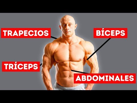 Ejercicios para sacar musculos