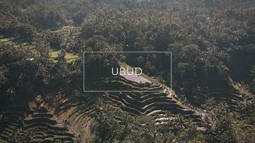 24 Hours in UBUD BALI - Cinematic Travel Video