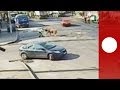 Un taureau déboule en pleine rue et charge un agent de circulation en Roumanie -- vidéosurveillance