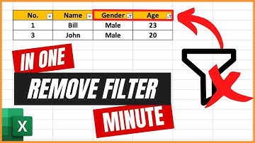 How to Clear or Remove Filter in Excel