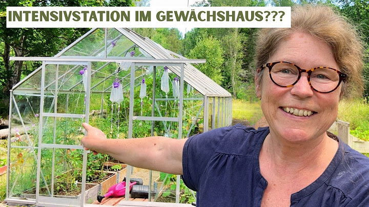 🍅 What's going on? 🥒 Intensive care unit in the greenhouse and why I was in prison