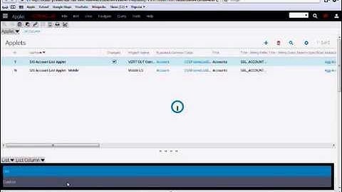 Siebel Web Tools - sample