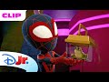 Team Spidey’s Epic Pet Frog Rescue! 🐸 | Marvel's Spidey and his Amazing Friends | @disneyjr