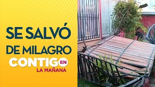 Bus del Transantiago impactó contra dos casas en Maipú - Contigo En La Mañana