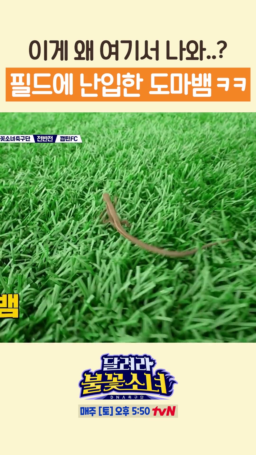 축구 경기가 중단된 이유 #달려라불꽃소녀