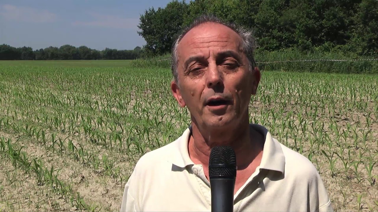 Progetto IWMPRAISE Integrated Weed Management