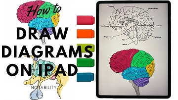 How to draw diagrams on iPad | digital note taking on iPad | Notability
