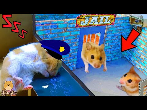 Rescue Police Pets maze with Traps hamster ? in Hamster King