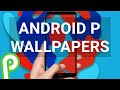 Android p wallpapers  android 9 wallpapers  android p screensavers  android p homescreen