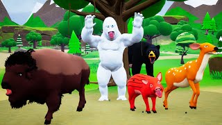 Ghost Gorilla Comedy Story | Funny Forest Animals Comedy Videos | 3D Animated Animal Stories