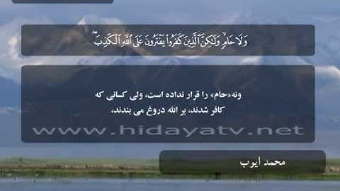 050 / جزء 7 / سوره مائده (97-108) / تلاوت قرآن با صدای محمد أيوب