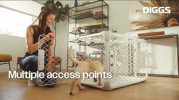 DIGGS Evolv Dog Crate Features