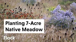 Turning Old Nursery into a 7-ACRE NATIVE "INSECT" MEADOW - Ep. 077